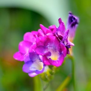 Meet your Posher, Kari